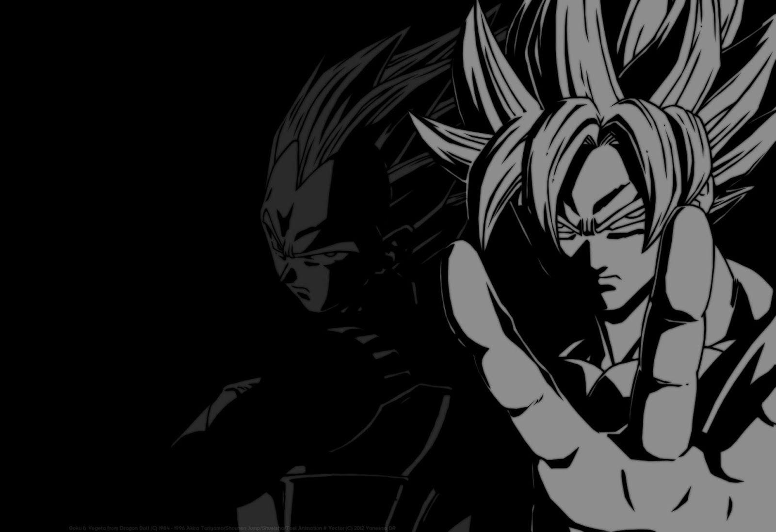 1600x1097 DBZ Black and White Wallpaper