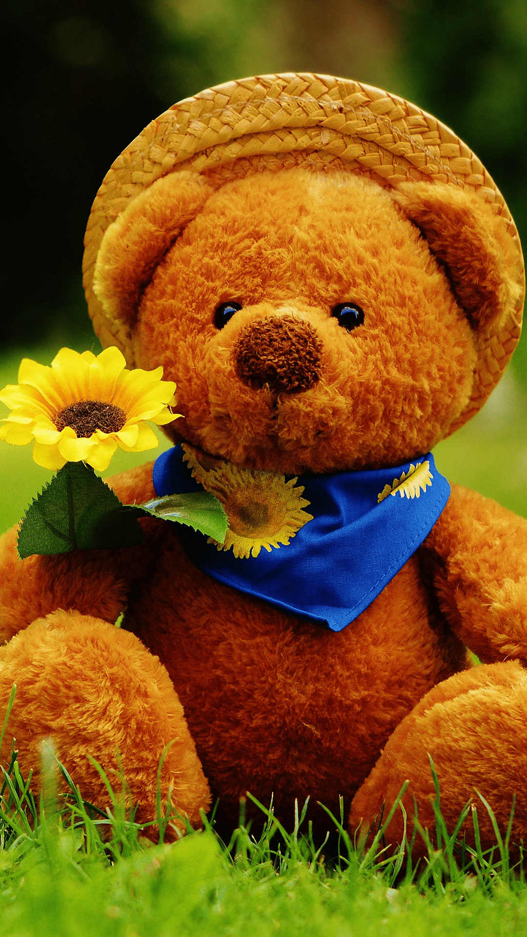 1080x1920 Download Cute Teddy Bear 1080 X 1920 Wallpaper, HD