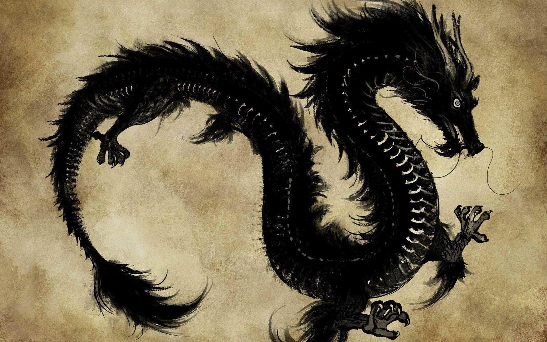 1920x1200 Chinese Dragon Wallpaper background picture