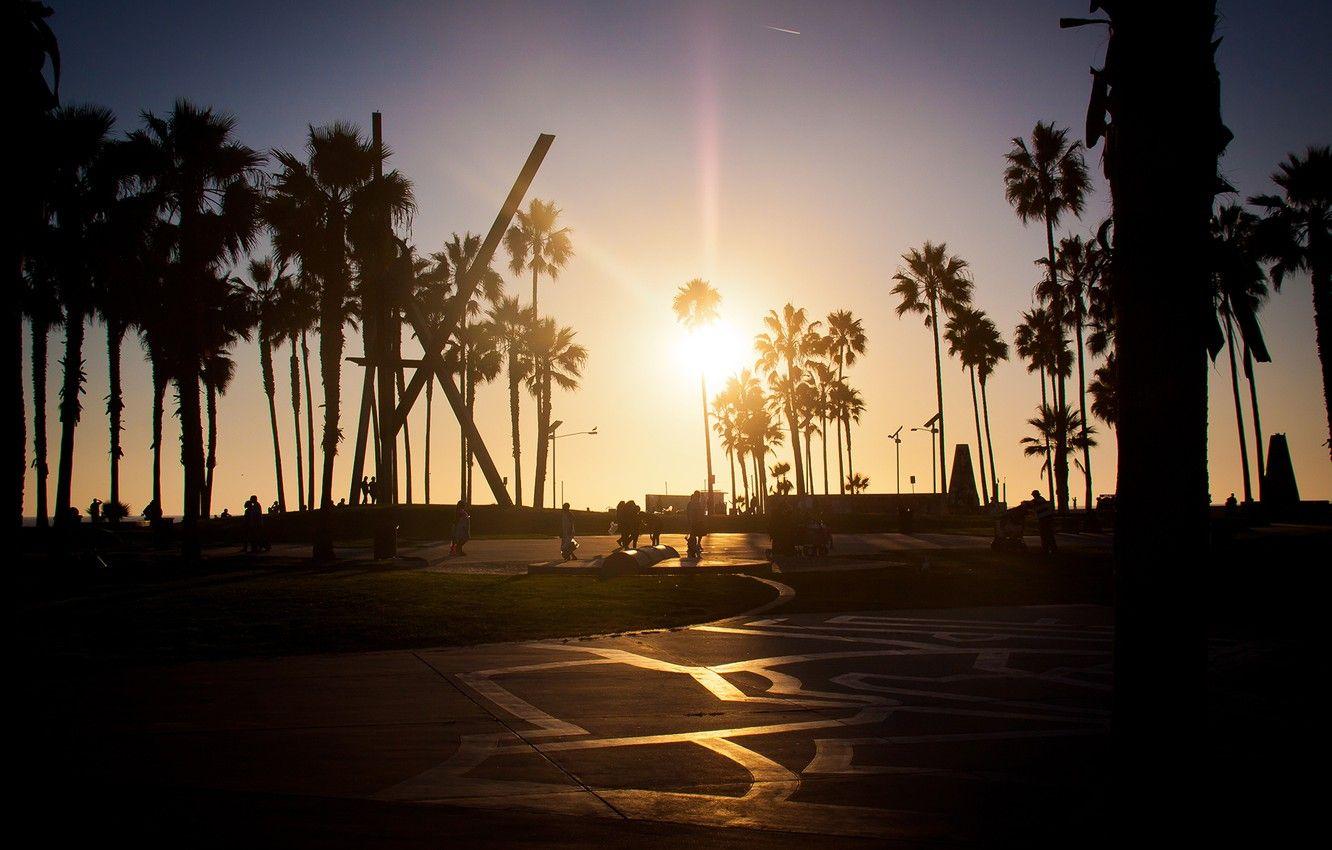 1332x850 Wallpaper summer, california, sunset, los angeles, palm, venice beach image for desktop, section город