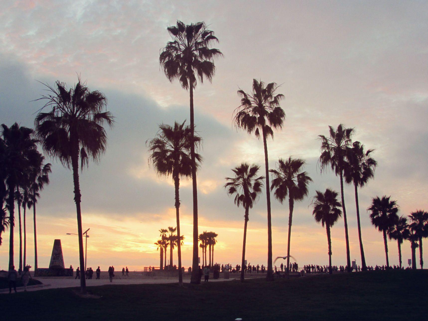 1718x1288 Venice Beach Wallpaper Tumblr