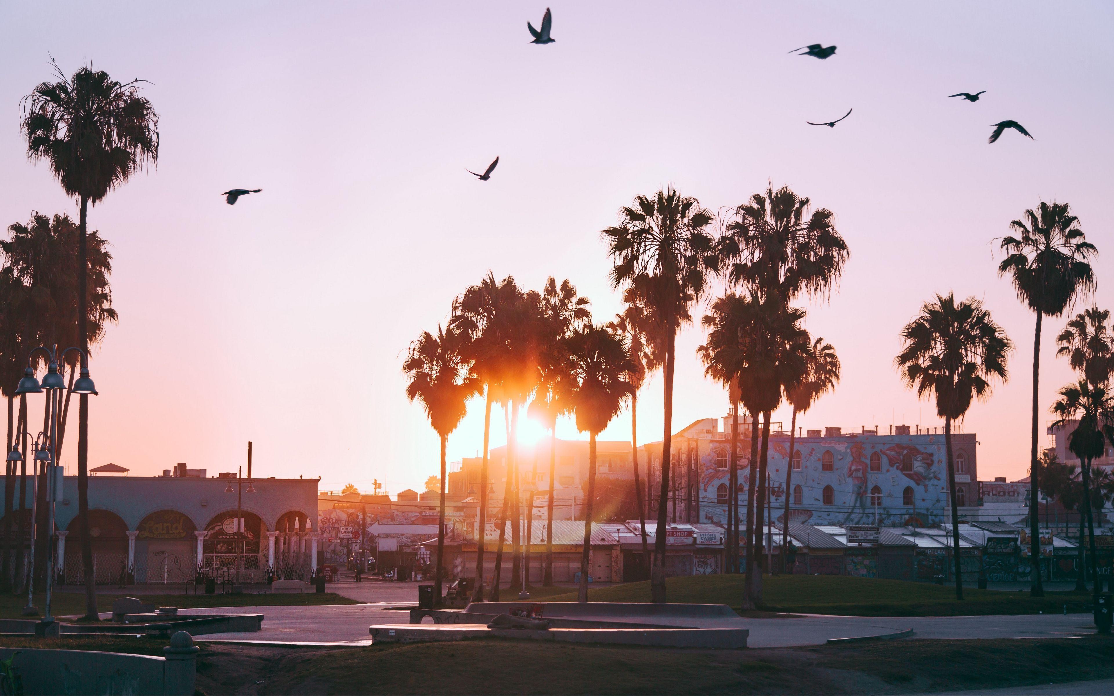 Venice Beach Sunset Wallpapers Top Free Venice Beach Sunset 