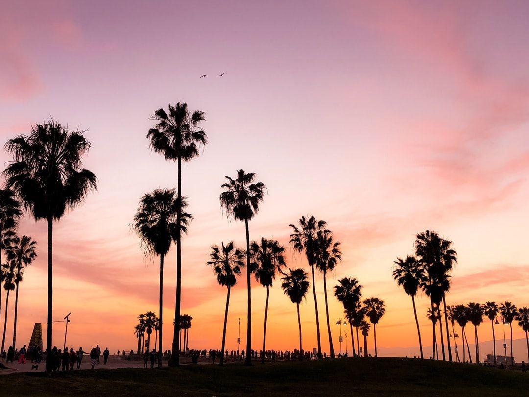 1080x810 Beautiful Venice Beach Picture. Download Free Image