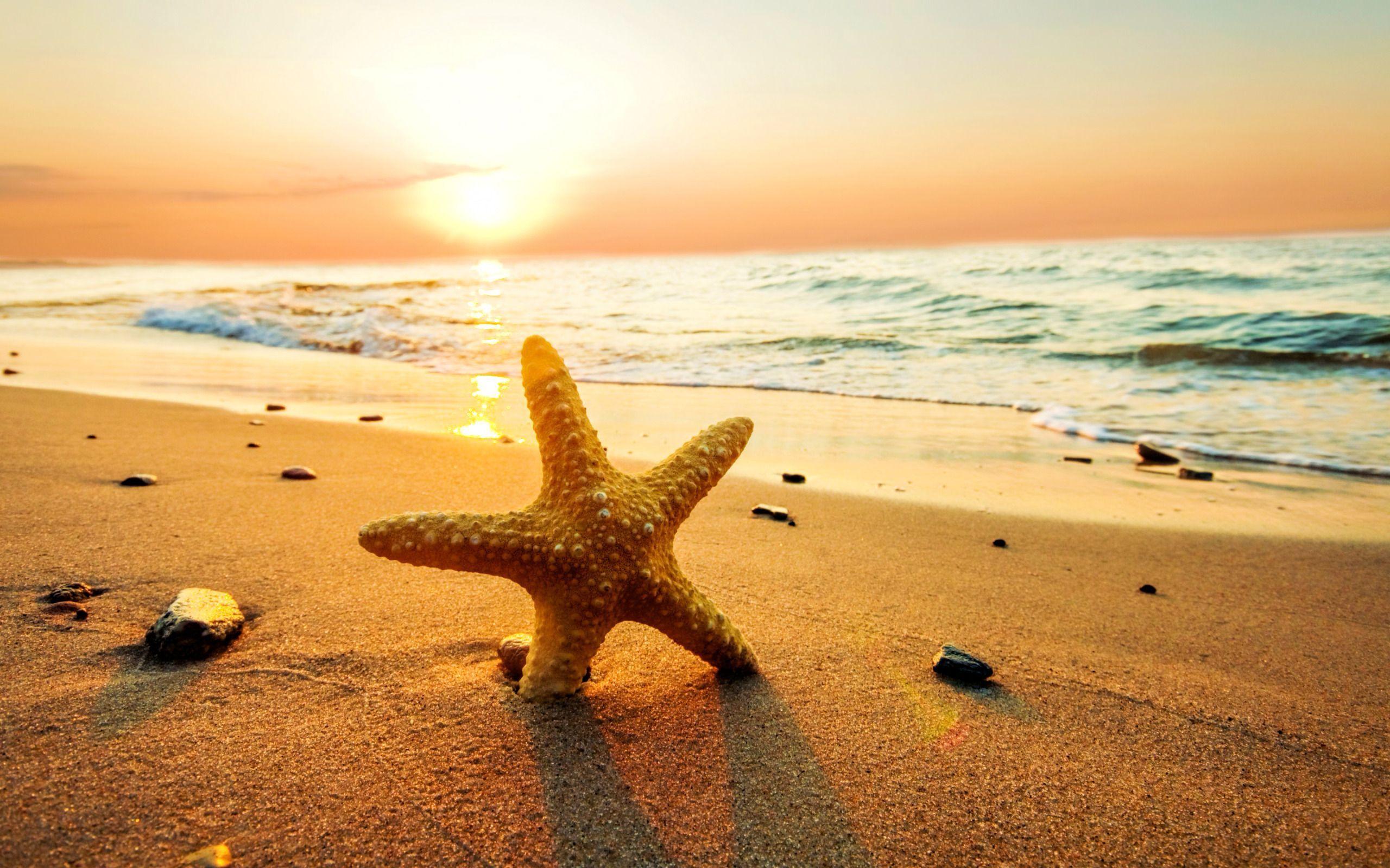 2560x1600 Beach Sunset Background Wallpaper HD Resolution Wallpaper