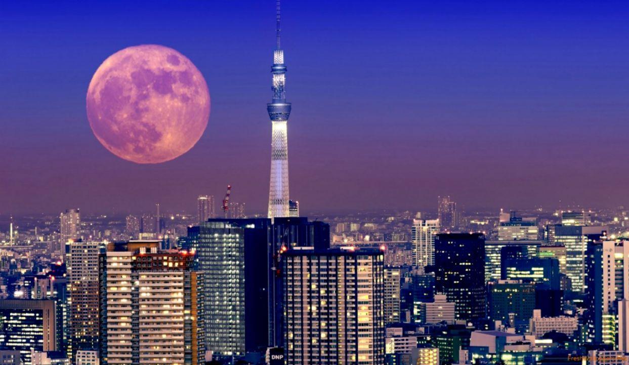 1243x721 Tokyo Moon At Night Wallpaper Desktop
