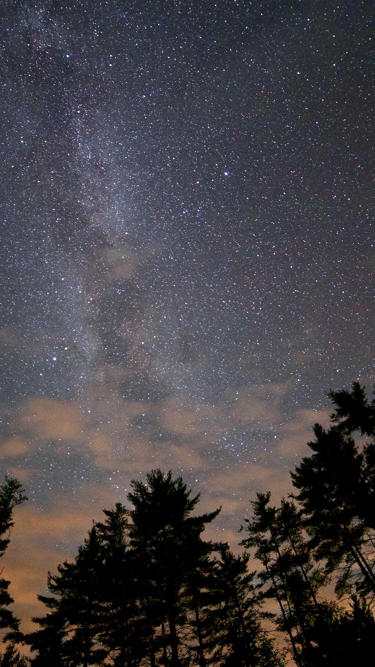 Hình nền Android 1242x2208 Night Sky Stars Milkyway Wood Nature
