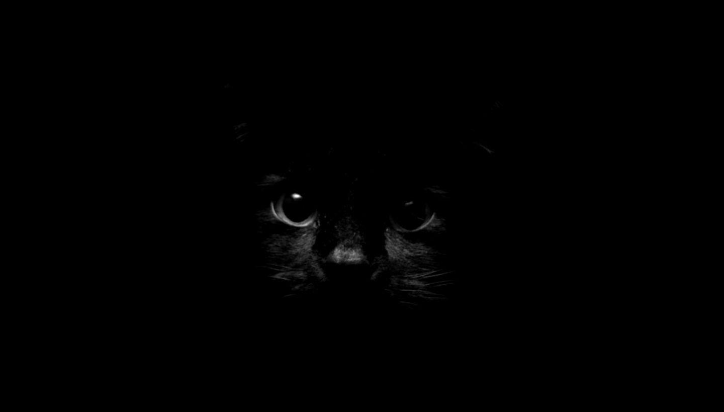 1440x819 Hình nền mèo Tumblr iPhone