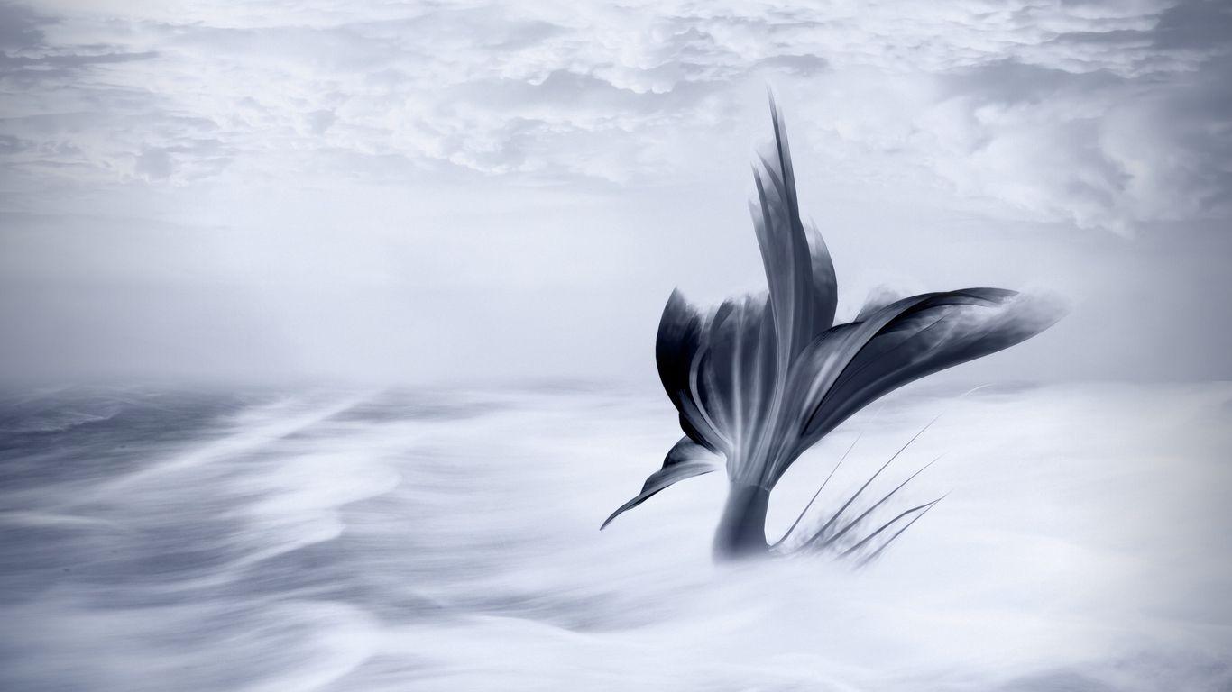 1366x768 Download wallpaper 1366x768 mermaid, tail, art, clouds