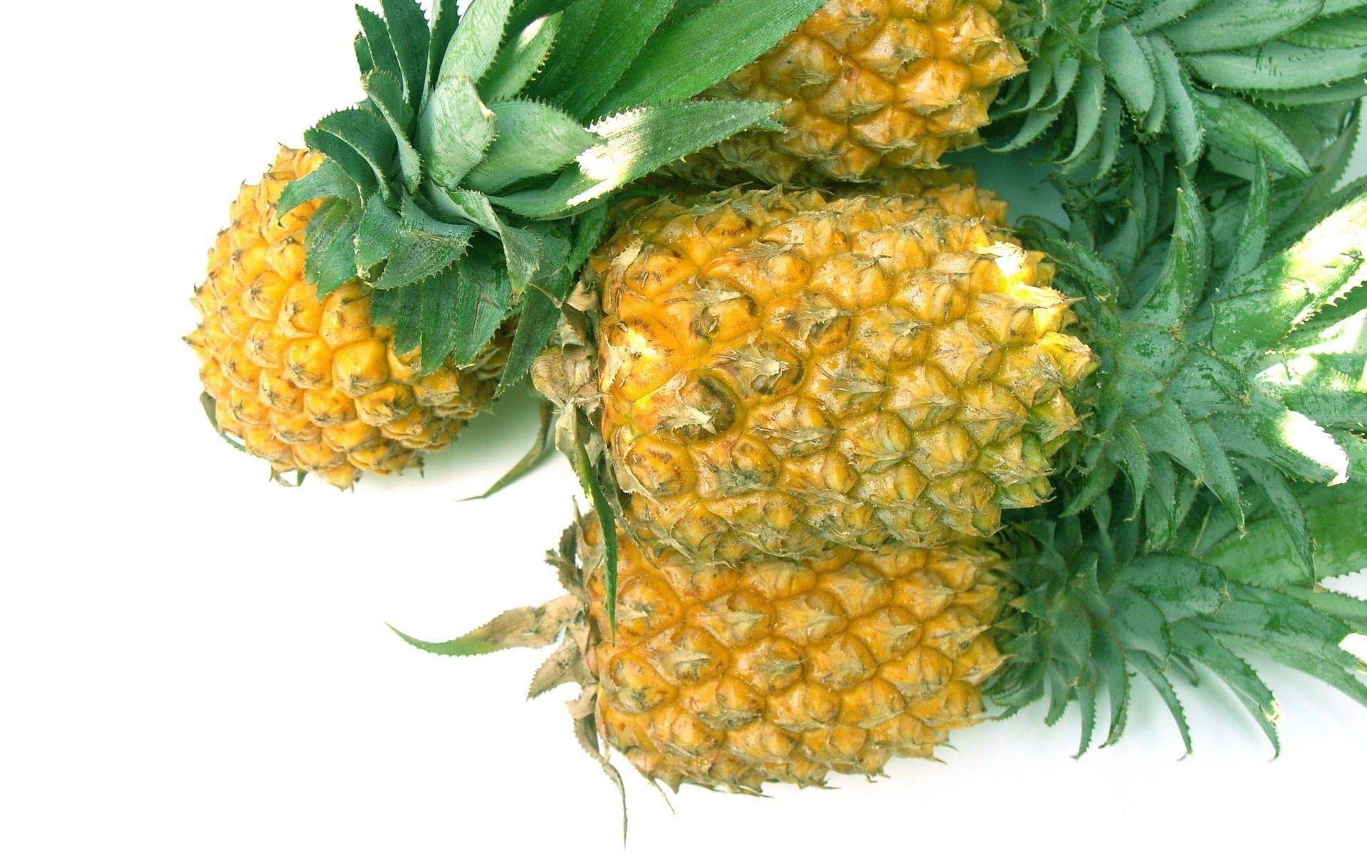 1920x1200 Pineapple backgroundDownload free stunning HD