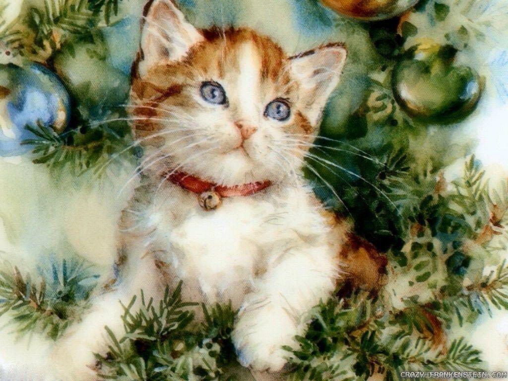 1024x768 Christmas Cat Wallpaper 2 Crazy Frankenstein Desktop Background