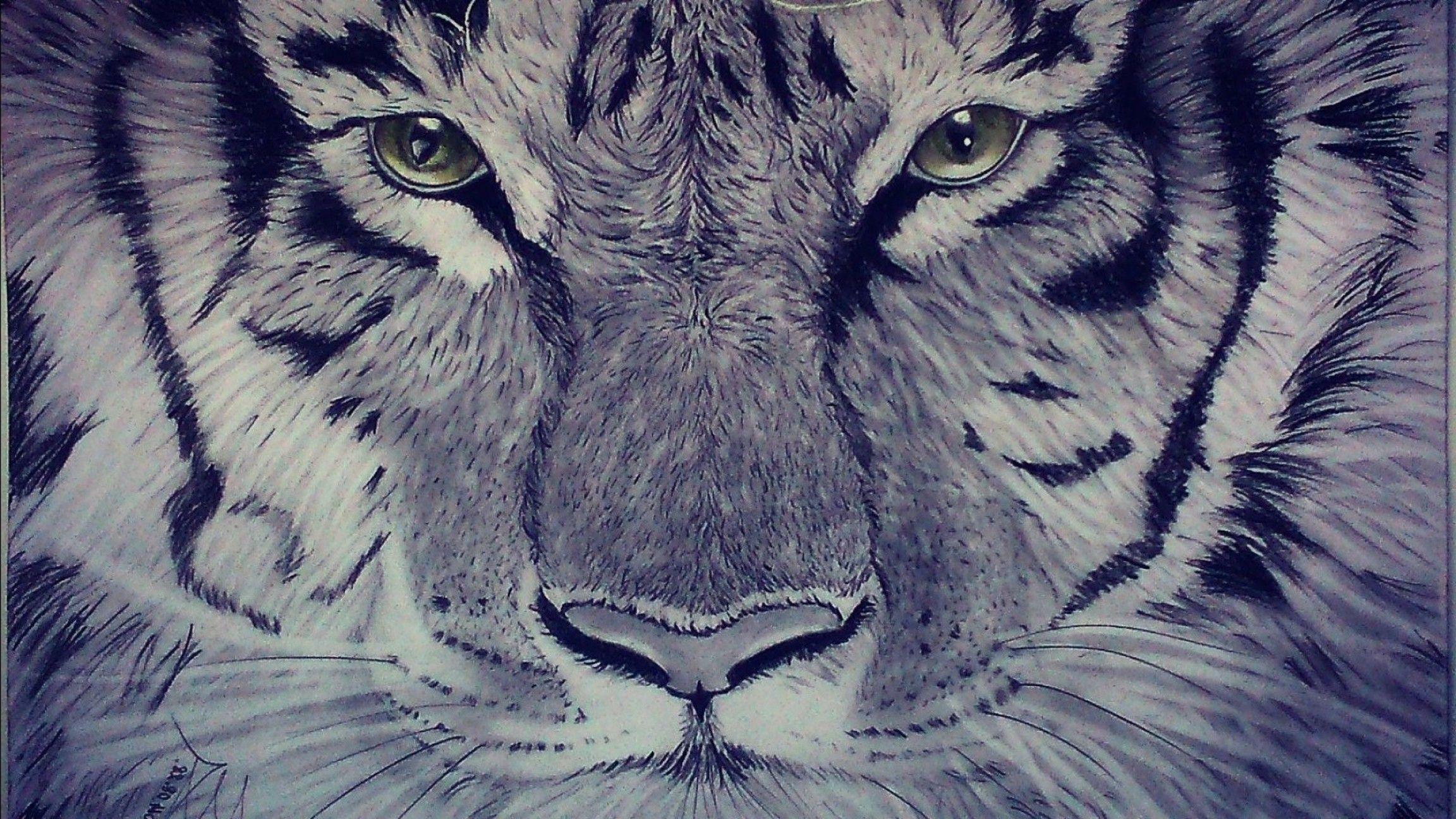 2304x1296 Vector Wallpaper Predatorfantasy Artwork Carnivore Laptop