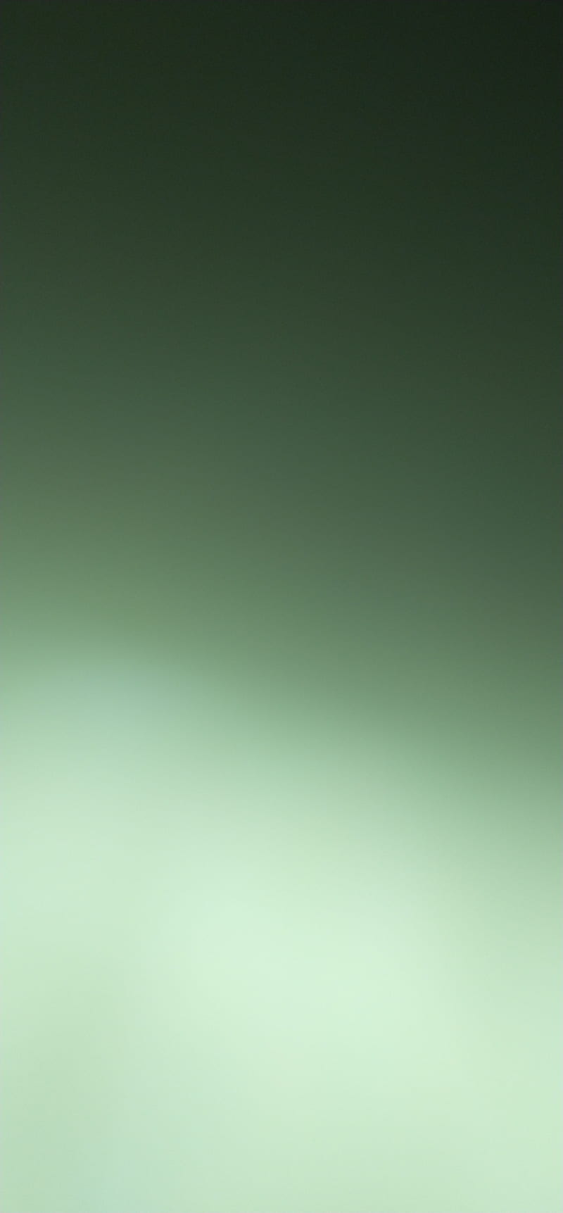 800x1723 HD solid green edge wallpaper