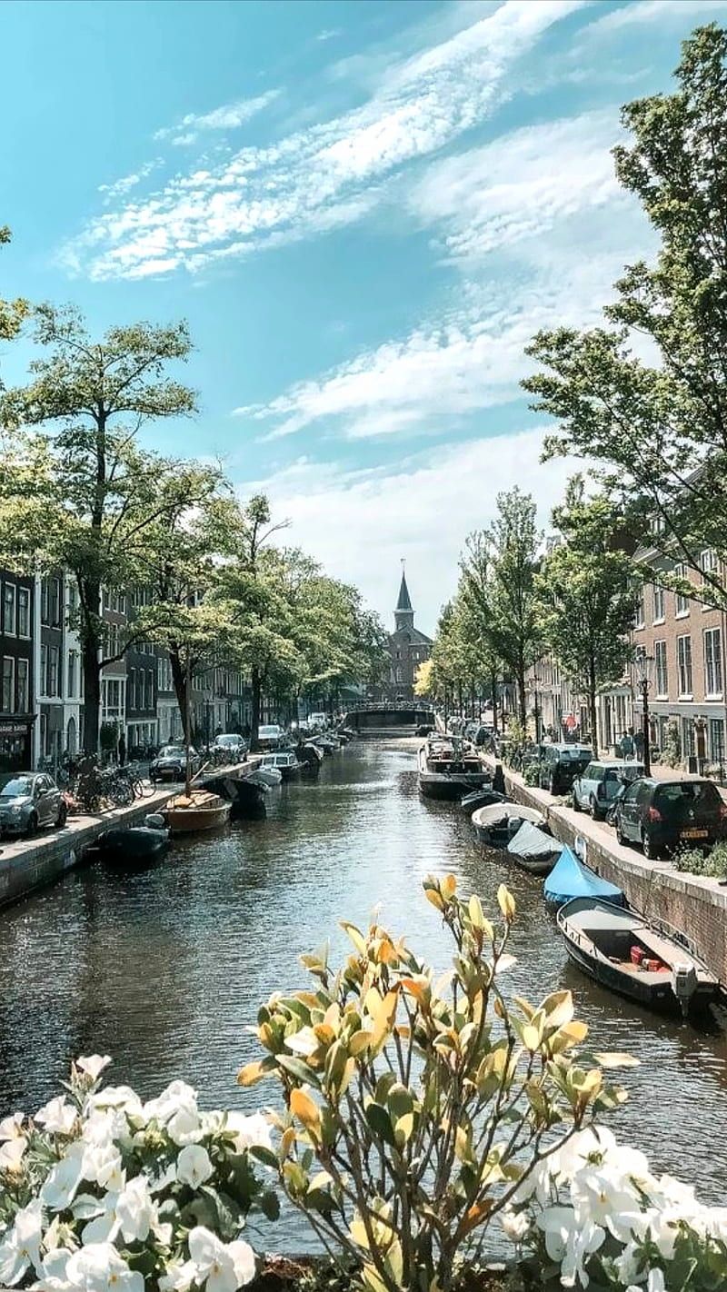 800x1422 Amsterdam, boats, capital, city, holland, nature, netherlands, river, sky, trees, HD phone wallpaper