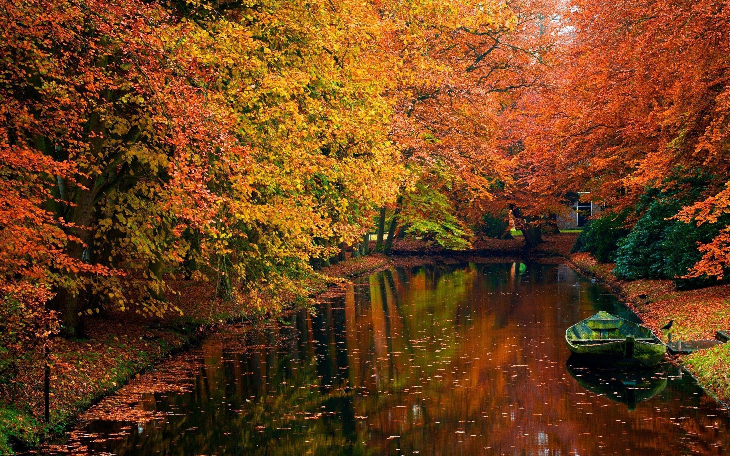 2560x1600 Fall MacBook Wallpaper