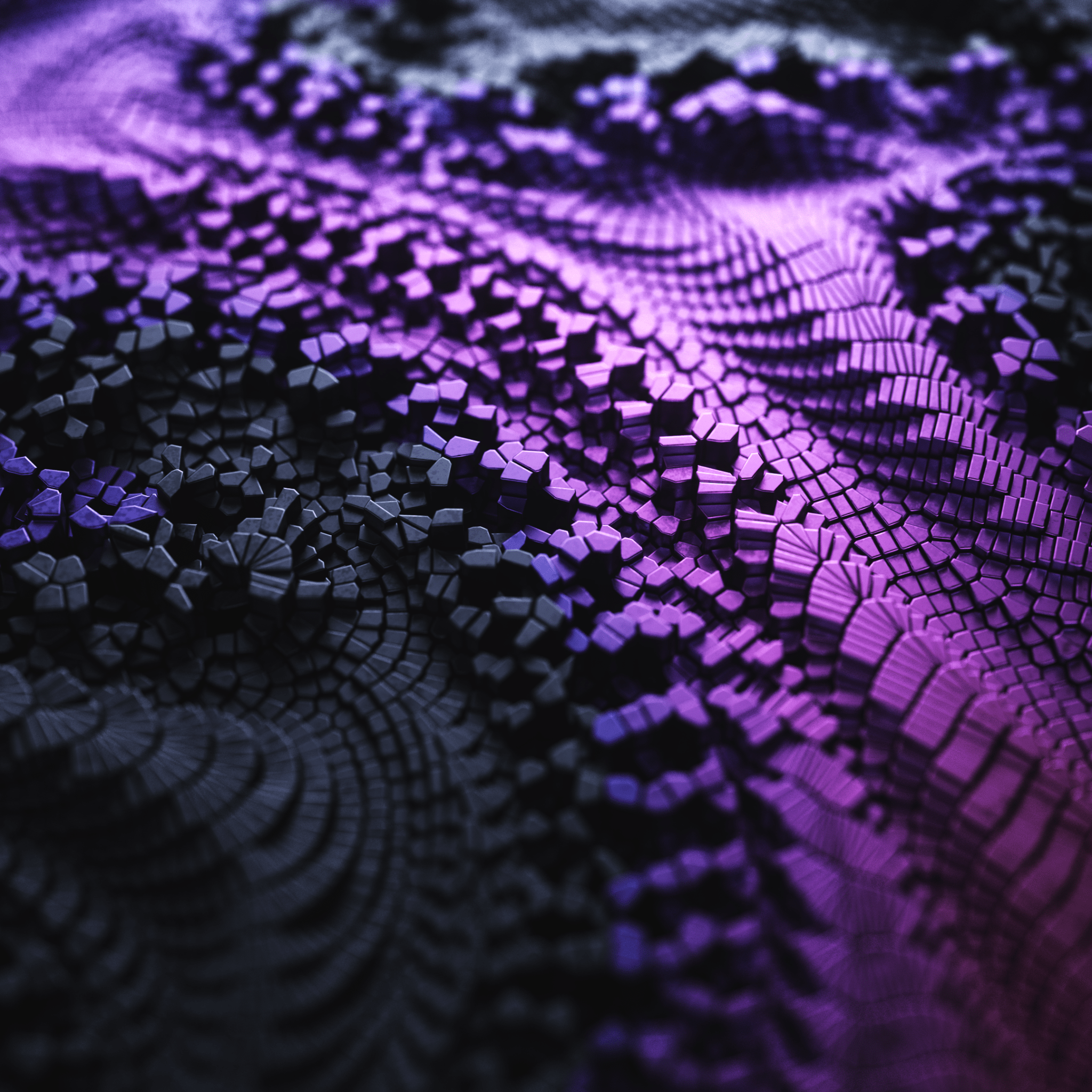 2048x2048 Macro Wallpaper 4K, Surface, 3D background