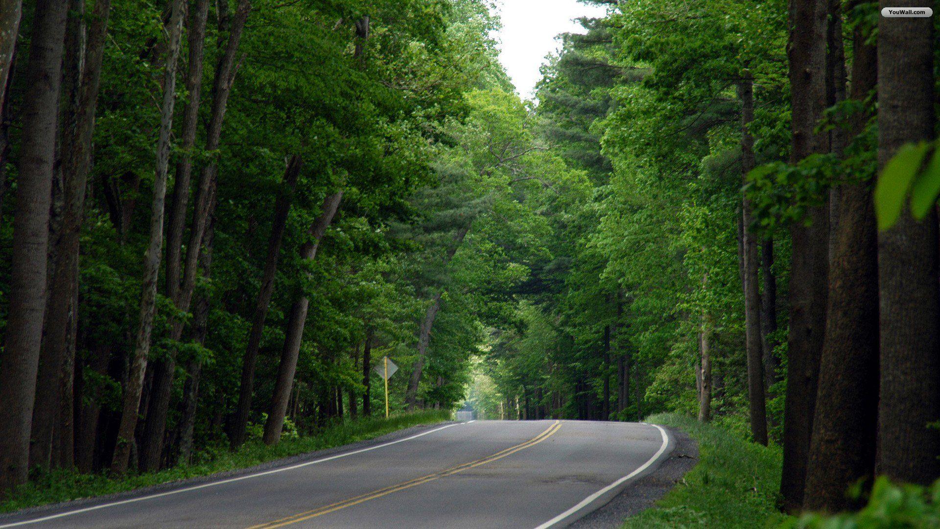 Green Road Wallpapers Top Free Green Road Backgrounds Wallpaperaccess