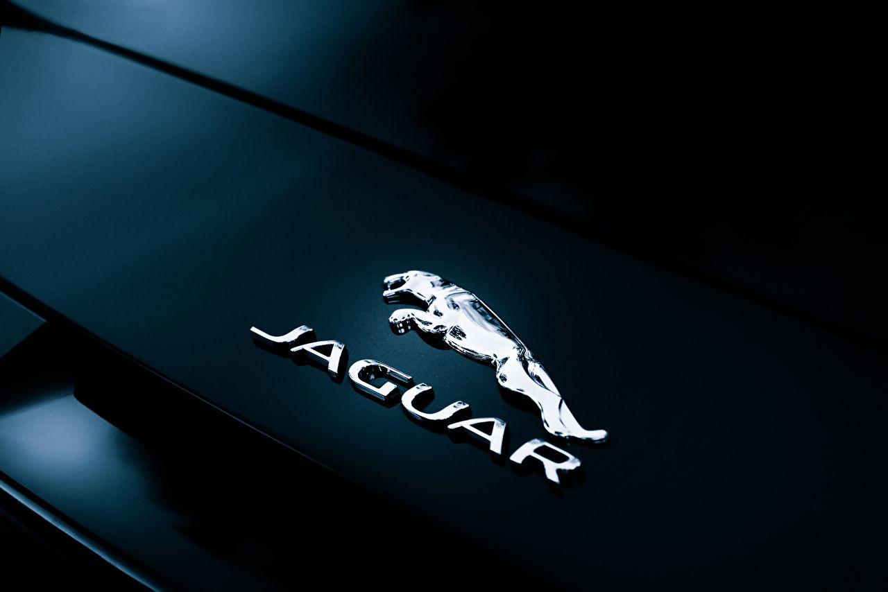Jaguar Car Logo Images Hd