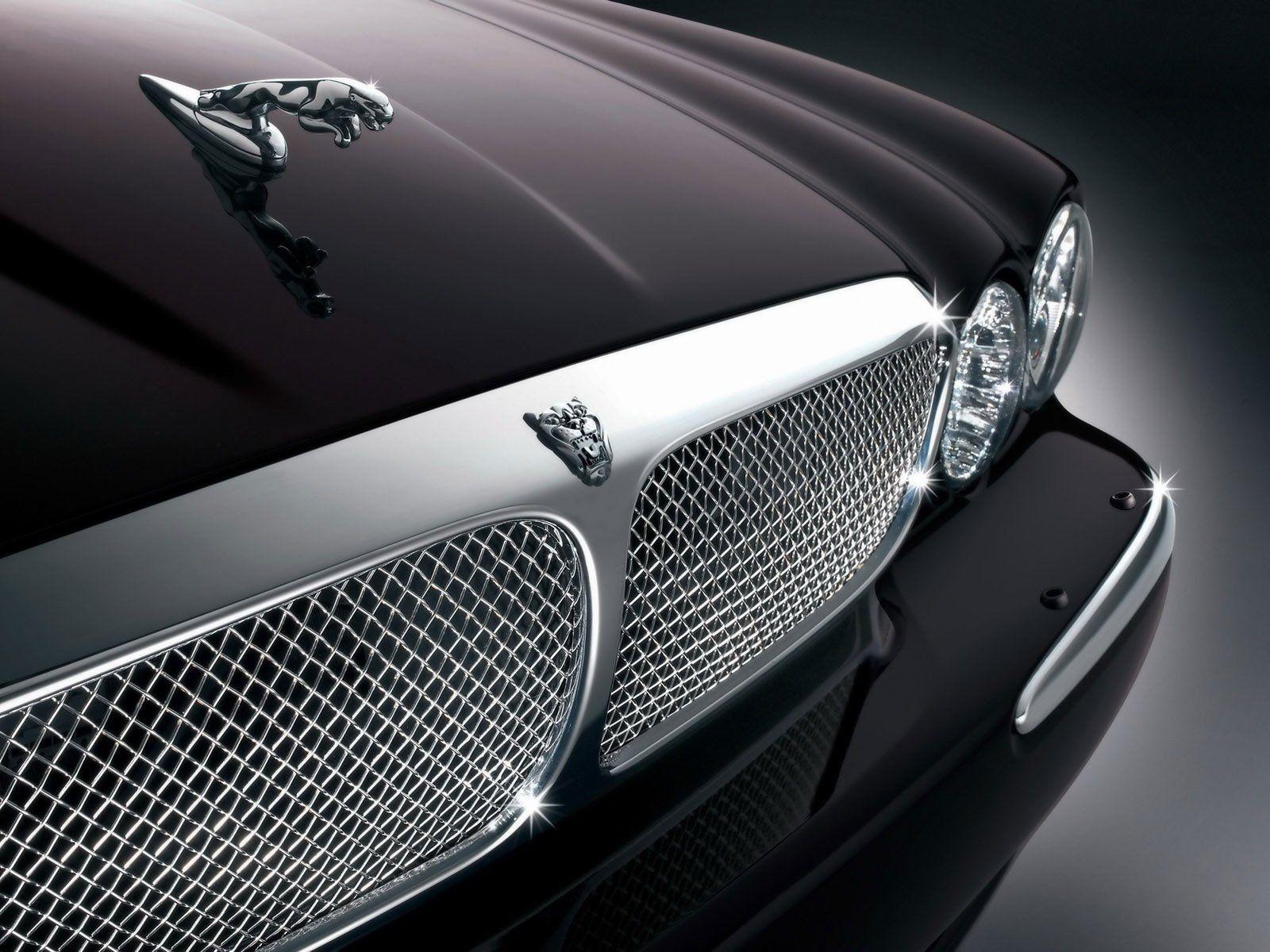 Jaguar Logo Wallpapers Top Free Jaguar Logo Backgrounds Wallpaperaccess