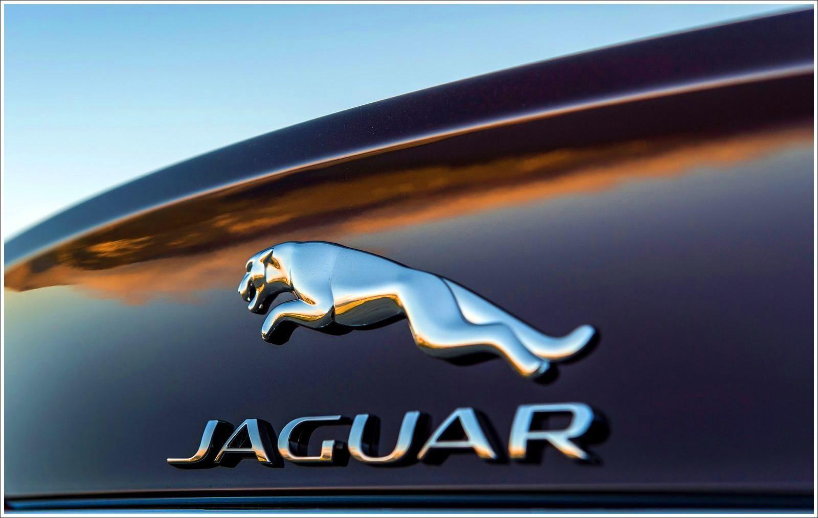 Jaguar Logo Hd
