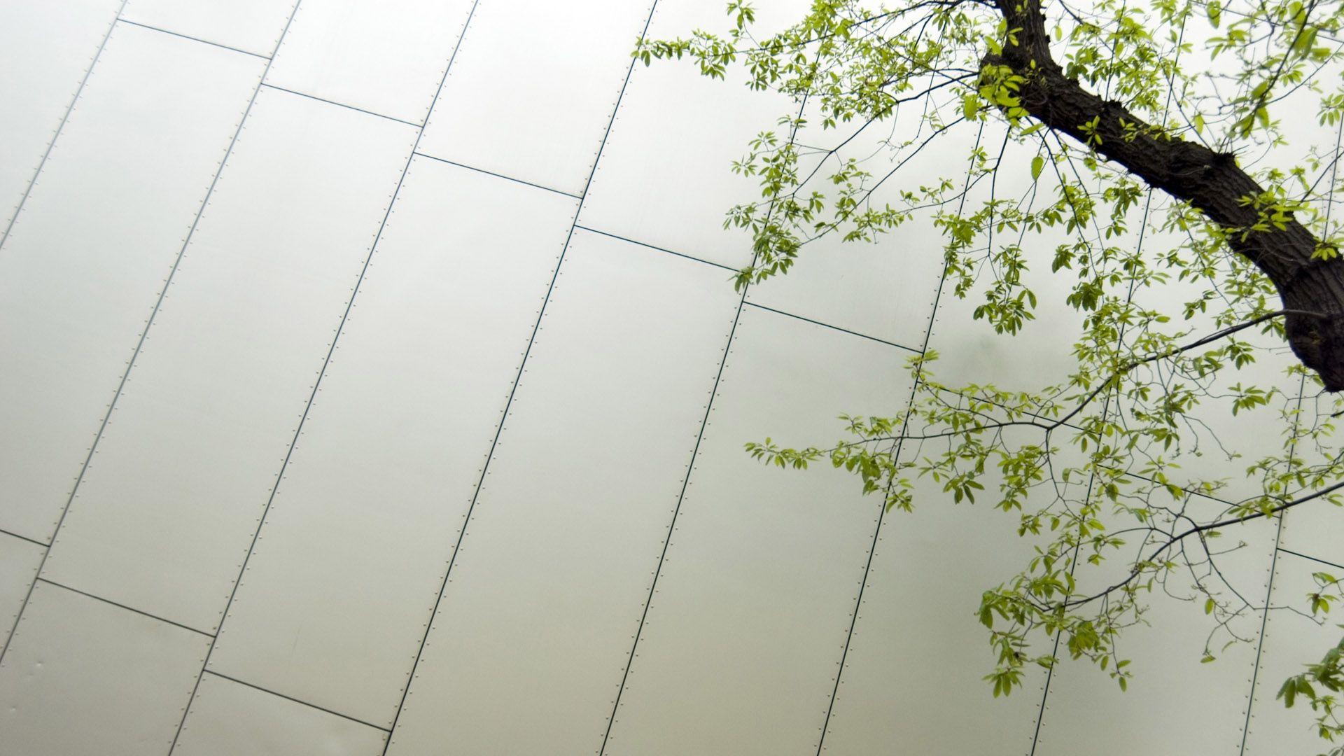 Organic Wallpapers Top Free Organic Backgrounds WallpaperAccess