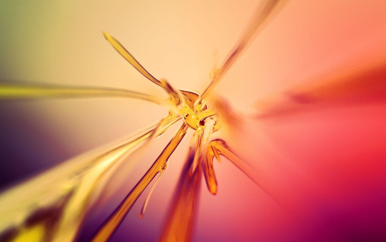 1280x804 Organic Discovery wallpaper. Organic Discovery