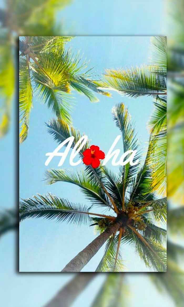 Aloha Wallpapers - Top Free Aloha Backgrounds - WallpaperAccess