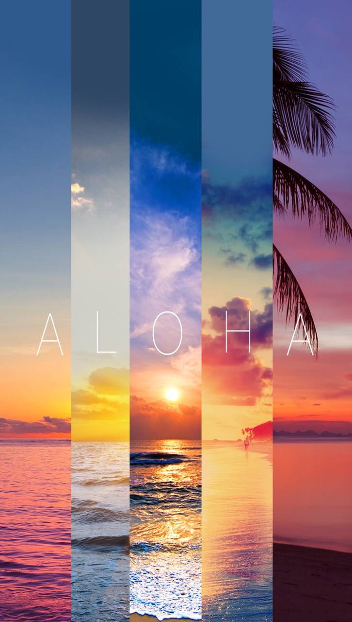 Aloha Wallpapers - Top Free Aloha Backgrounds - WallpaperAccess