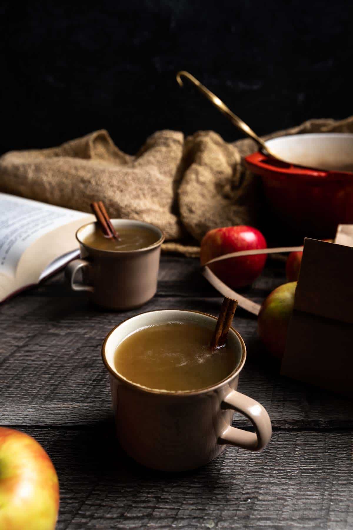 1200x1800 Homemade Apple Cider Stovetop or Slow