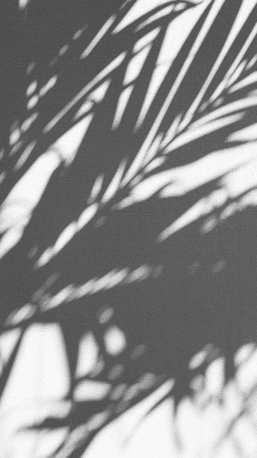 1000x1777 Download free Black White iPhone Shadow