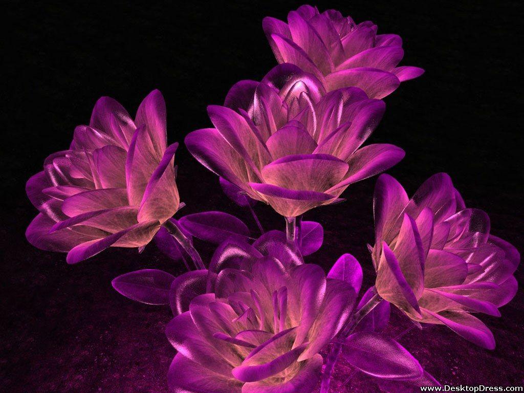 1024x768 Desktop Wallpaper 3D Background Roses Violet