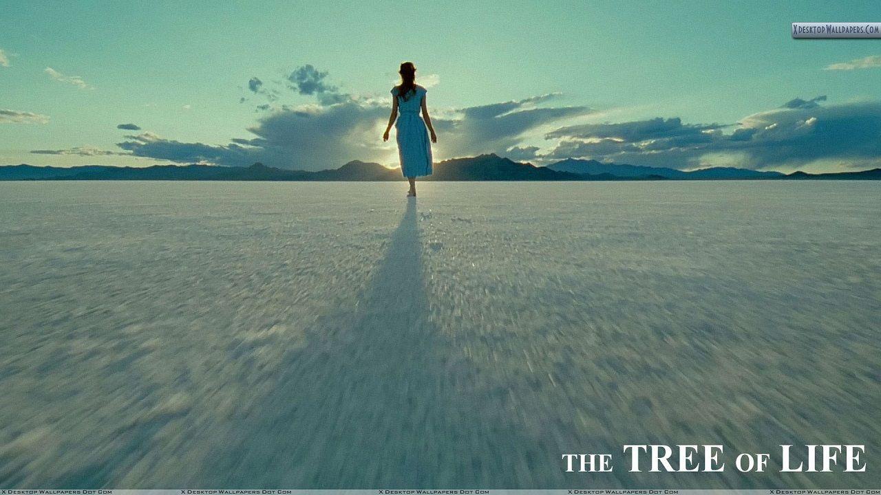 1280x720 Alone HD Wallpaper: Amazon.com.br: Amazon Appstore