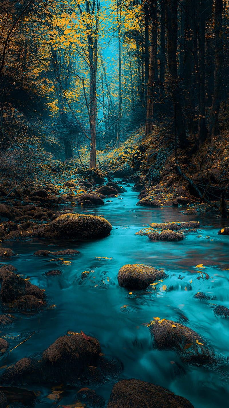 800x1422 Blue river, forest, landscape, nature, rocks, trees, water, yellow leaves, HD phone wallpaper