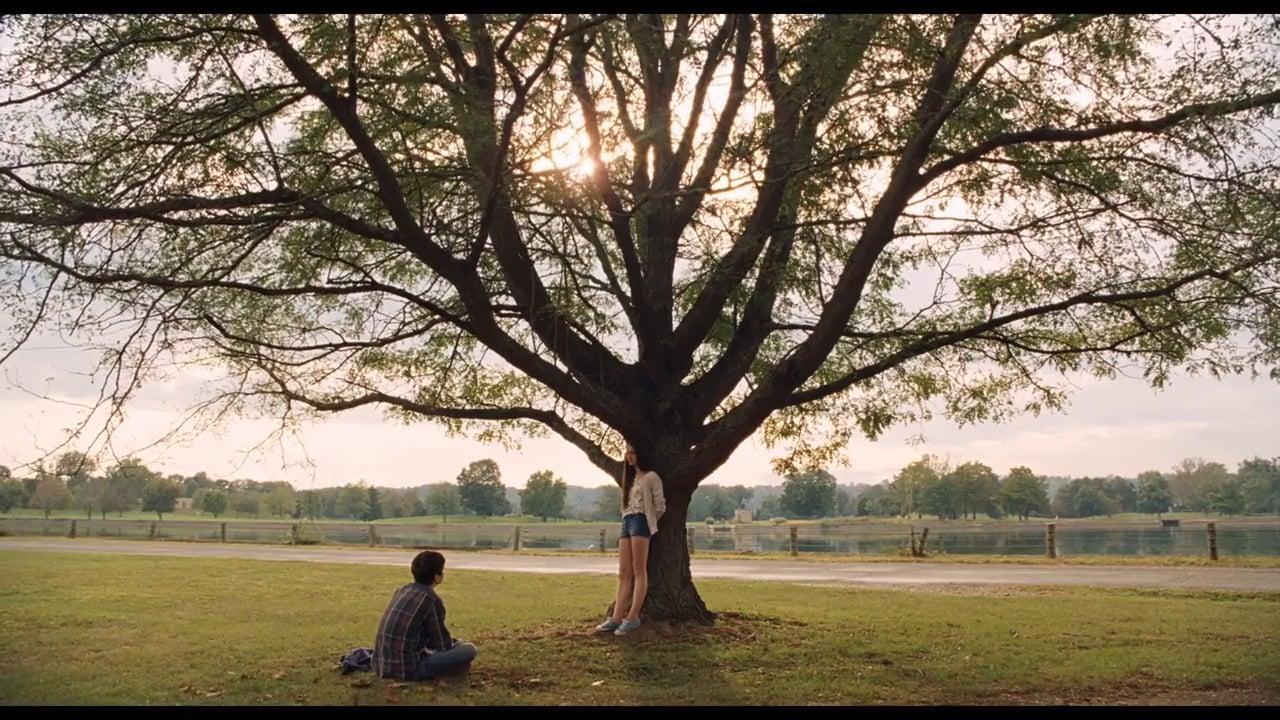 1280x720 The Killing of a Sacred Deer