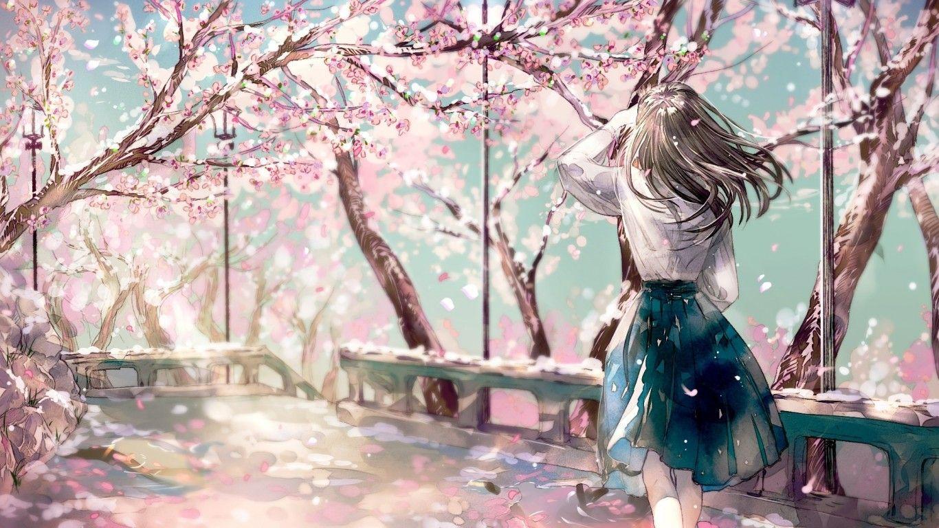1366x768 Download 1366x768 Cherry Blossom, Sakura, Anime Girl, Back