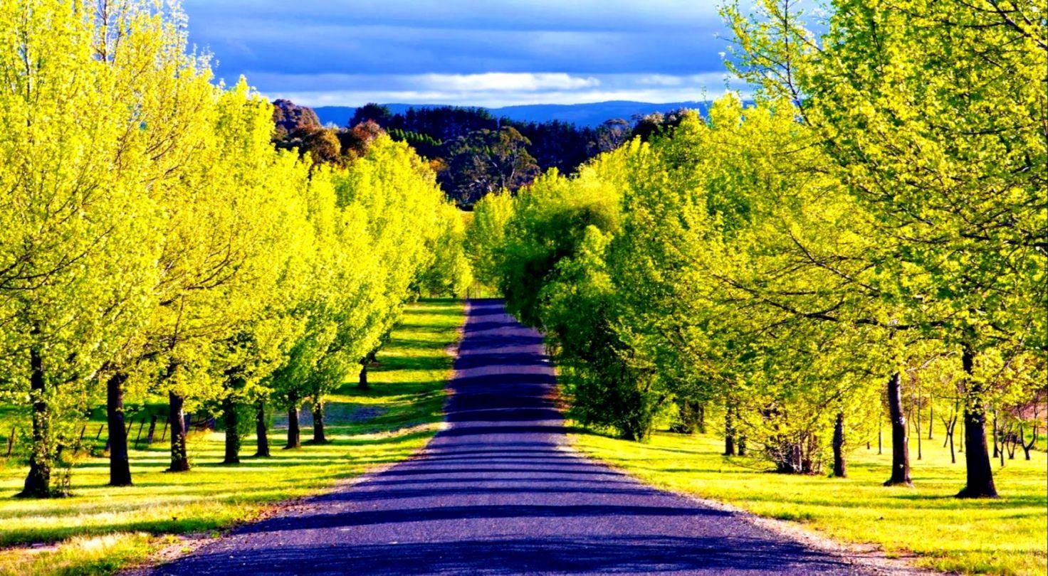 1472x810 Beautiful Scenic Wallpaper