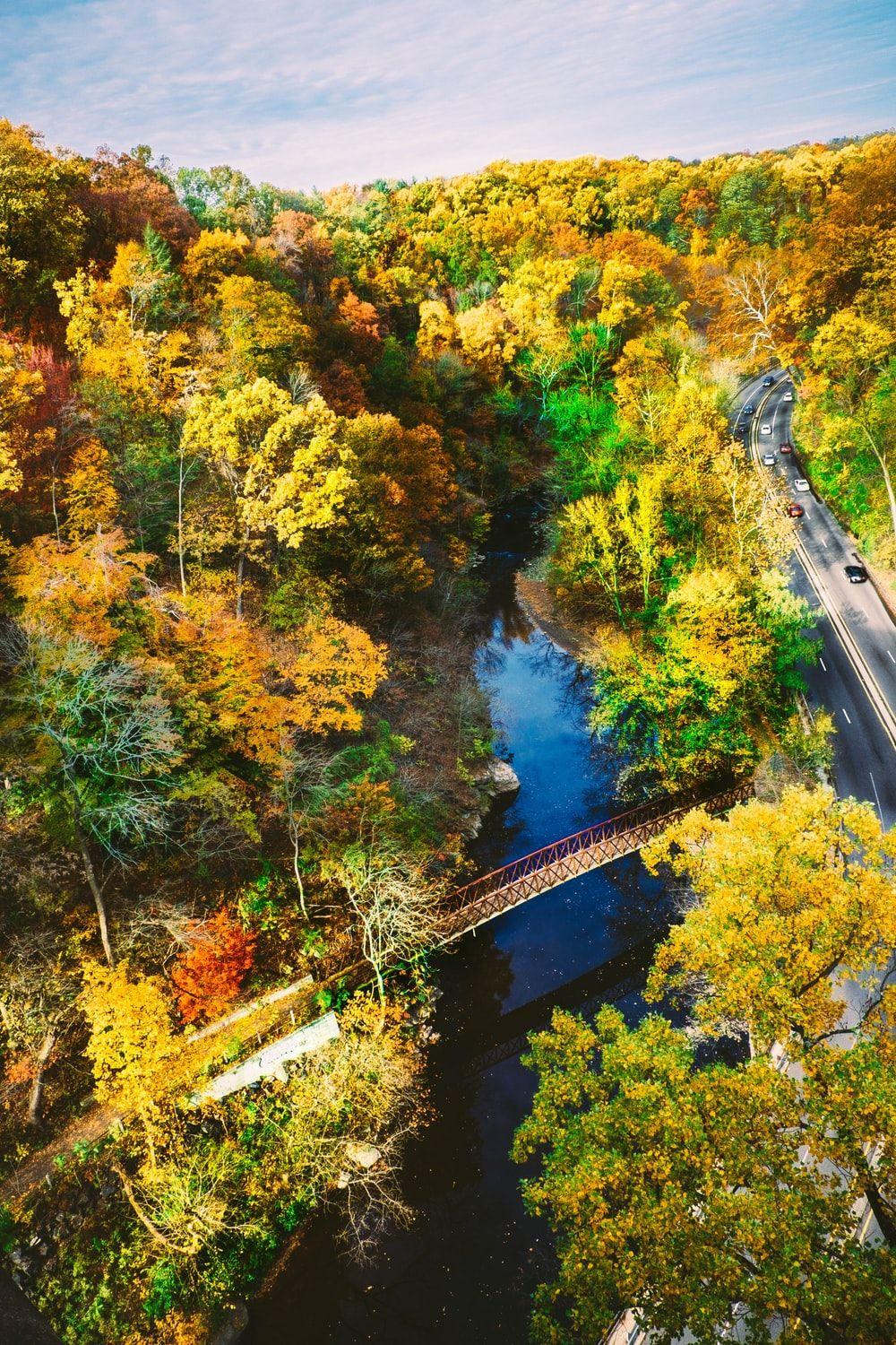 1000x1500 Scenic Picture [HD]. Download Free Image