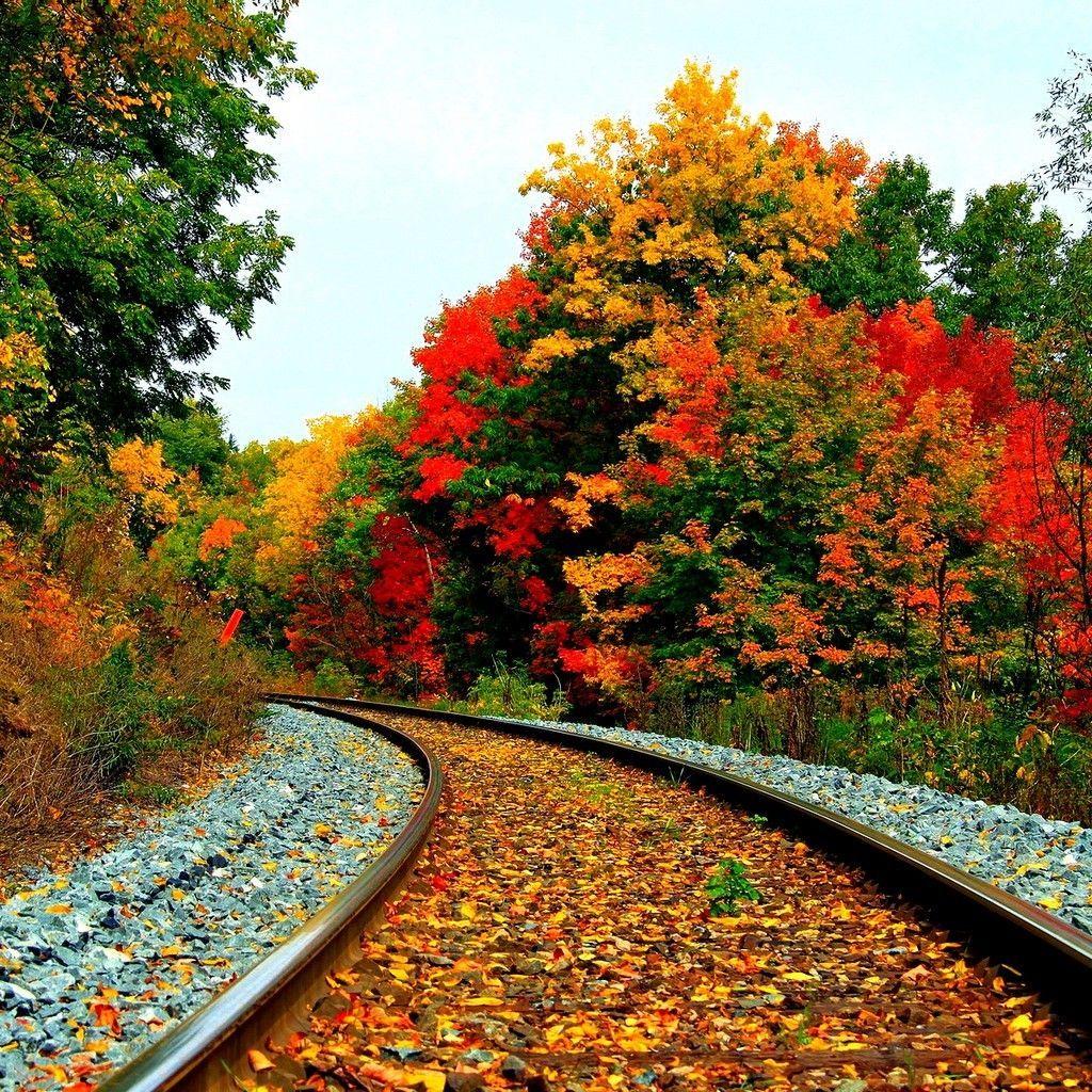 1024x1024 Hd wallpaper beautiful scenery