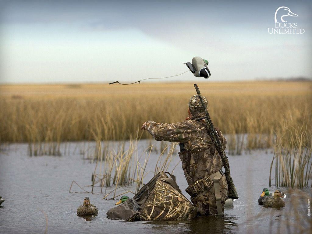 1024x768 Awesome Man Duck Hunting Wallpaper Important Artists Ornament Unique