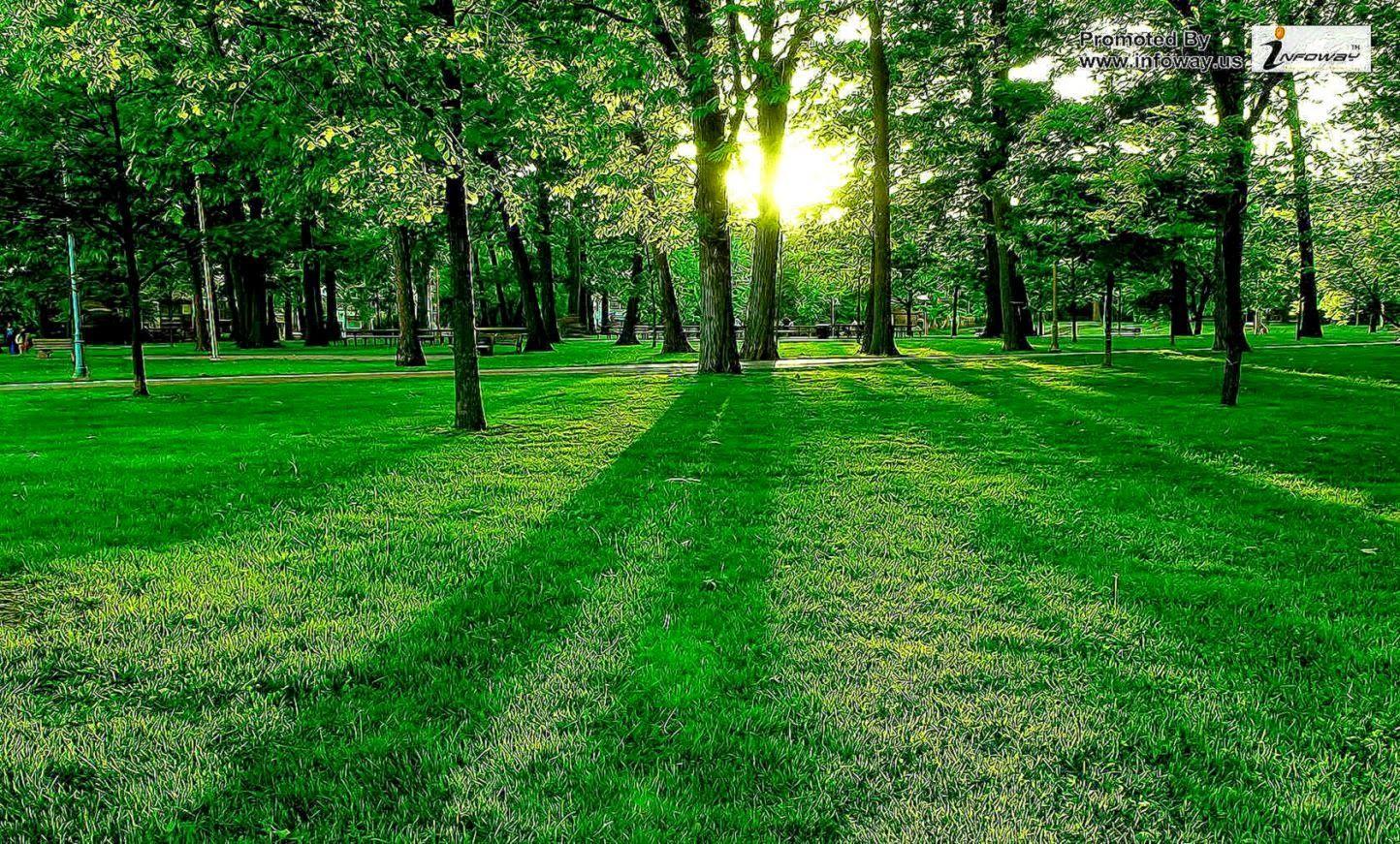 1444x871 Beautiful View 14 & Nature Background Wallpaper