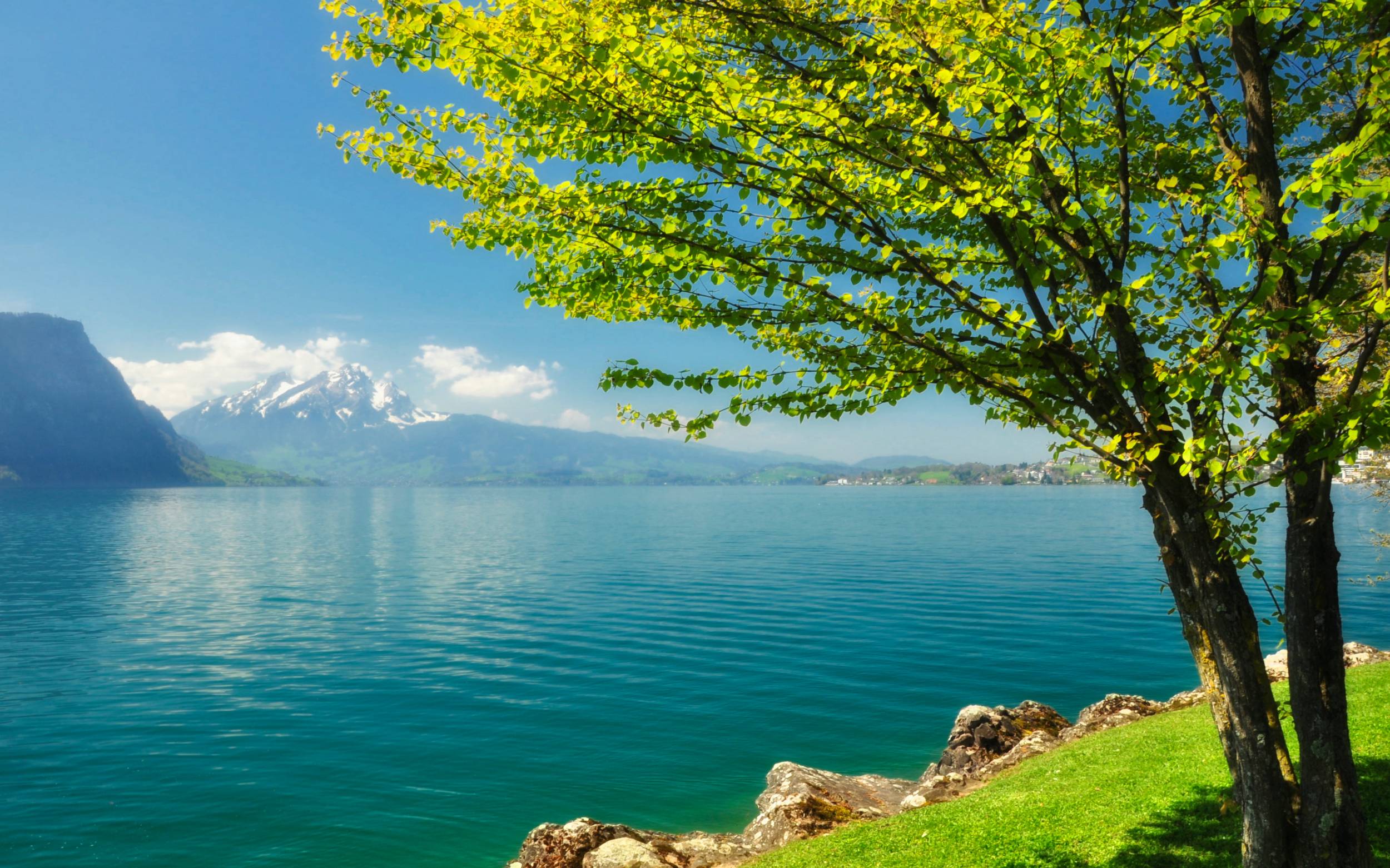 2500x1562 Beautiful Scenery Picture In High Spring