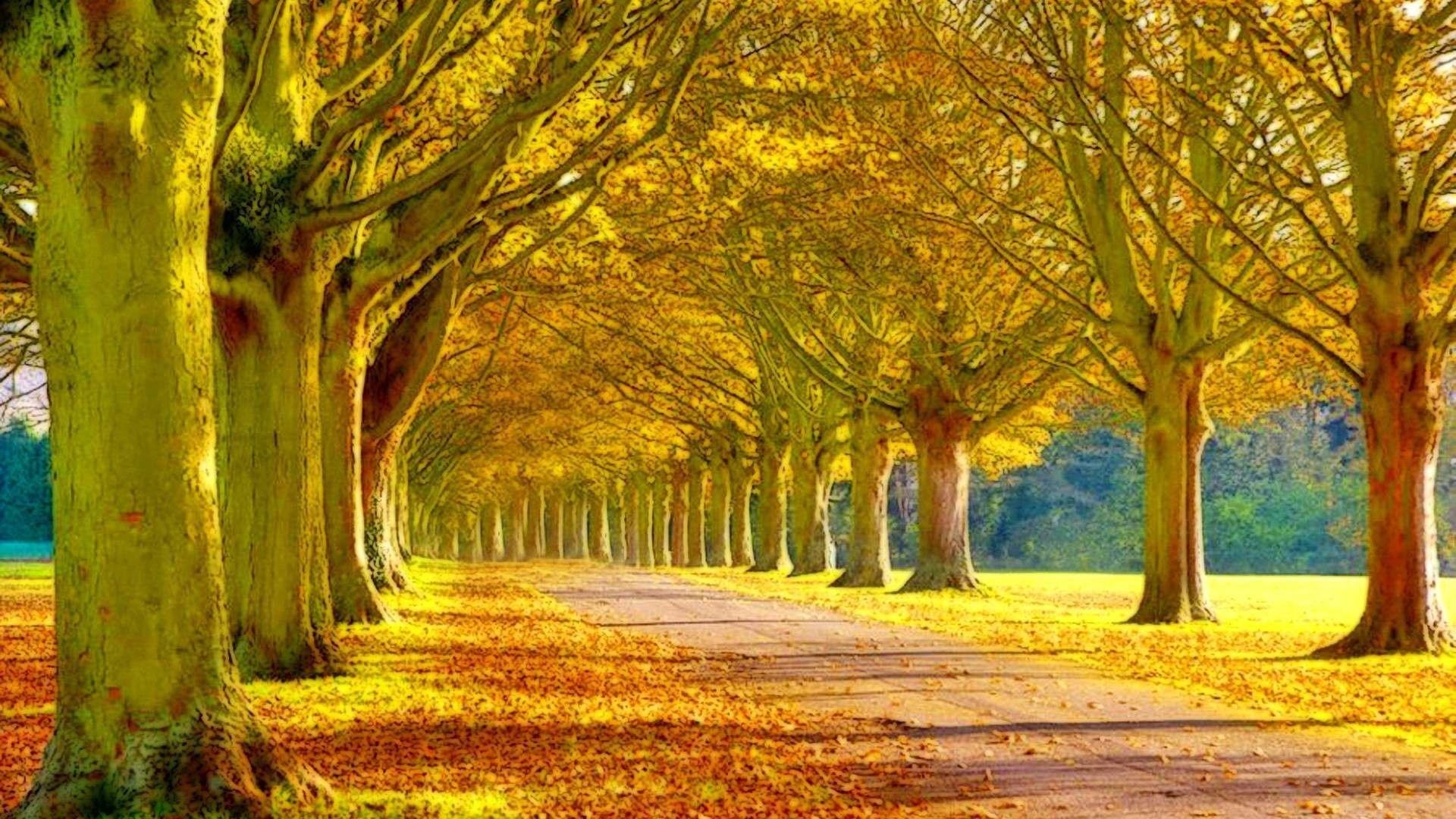 1920x1080 Beautiful Scenery Background