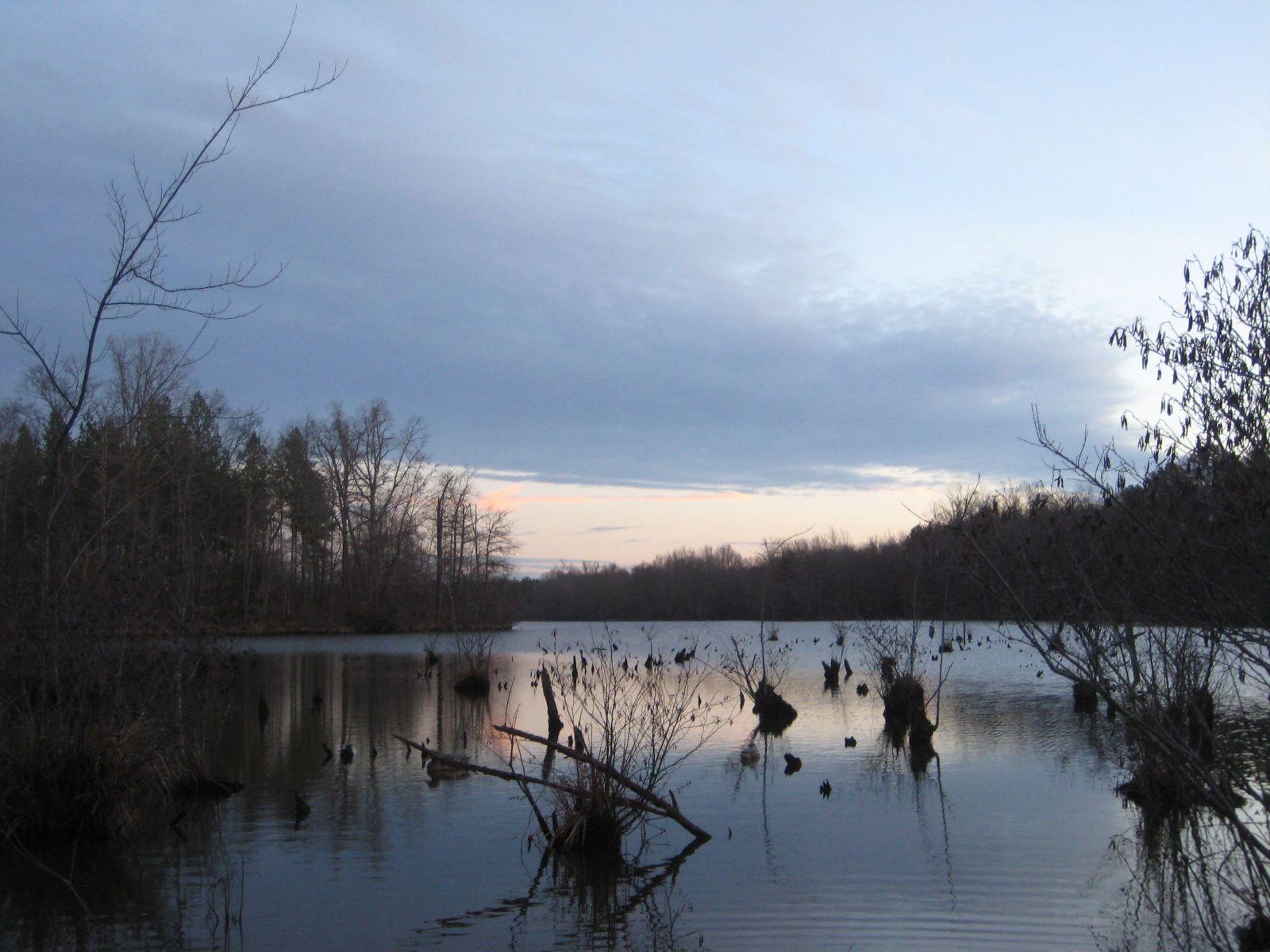 1600x1200 Duck Hunting Wallpaper for Desktop