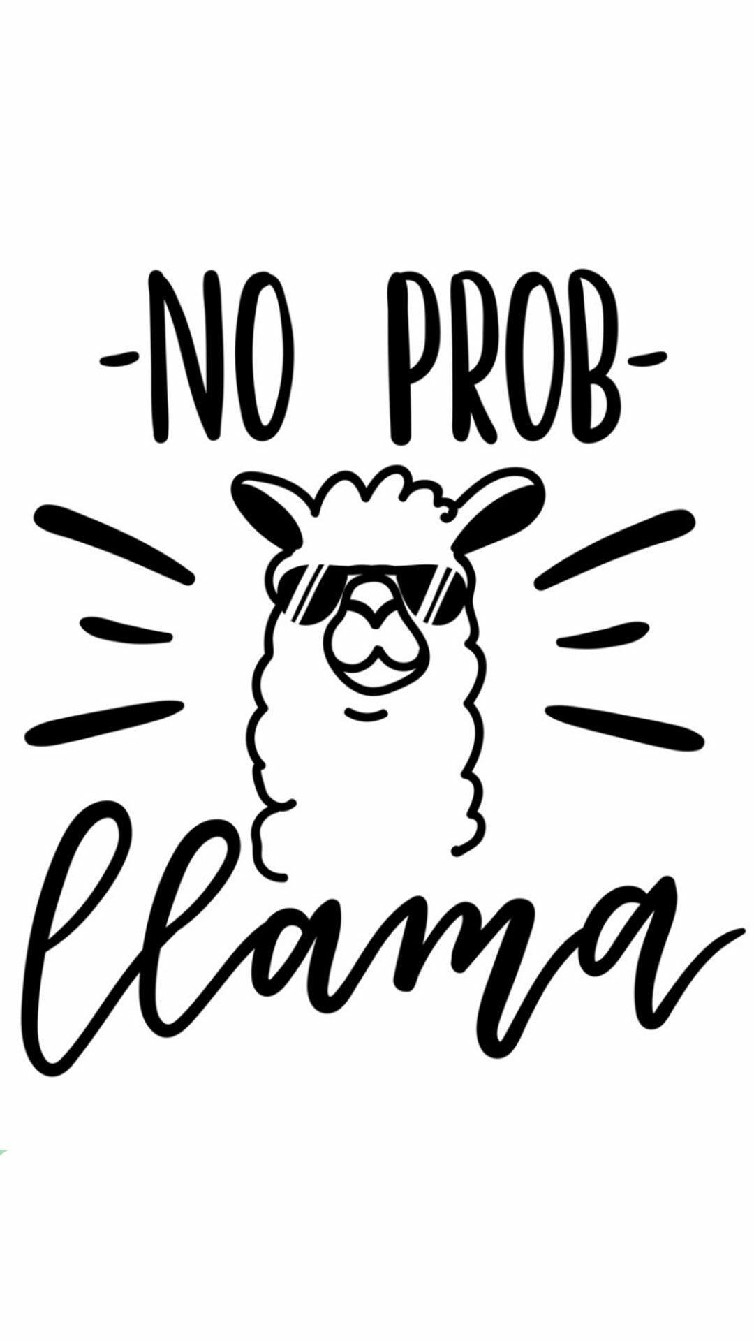 1080x1920 No probllama wallpaper. Wallpaper. Wallpaper