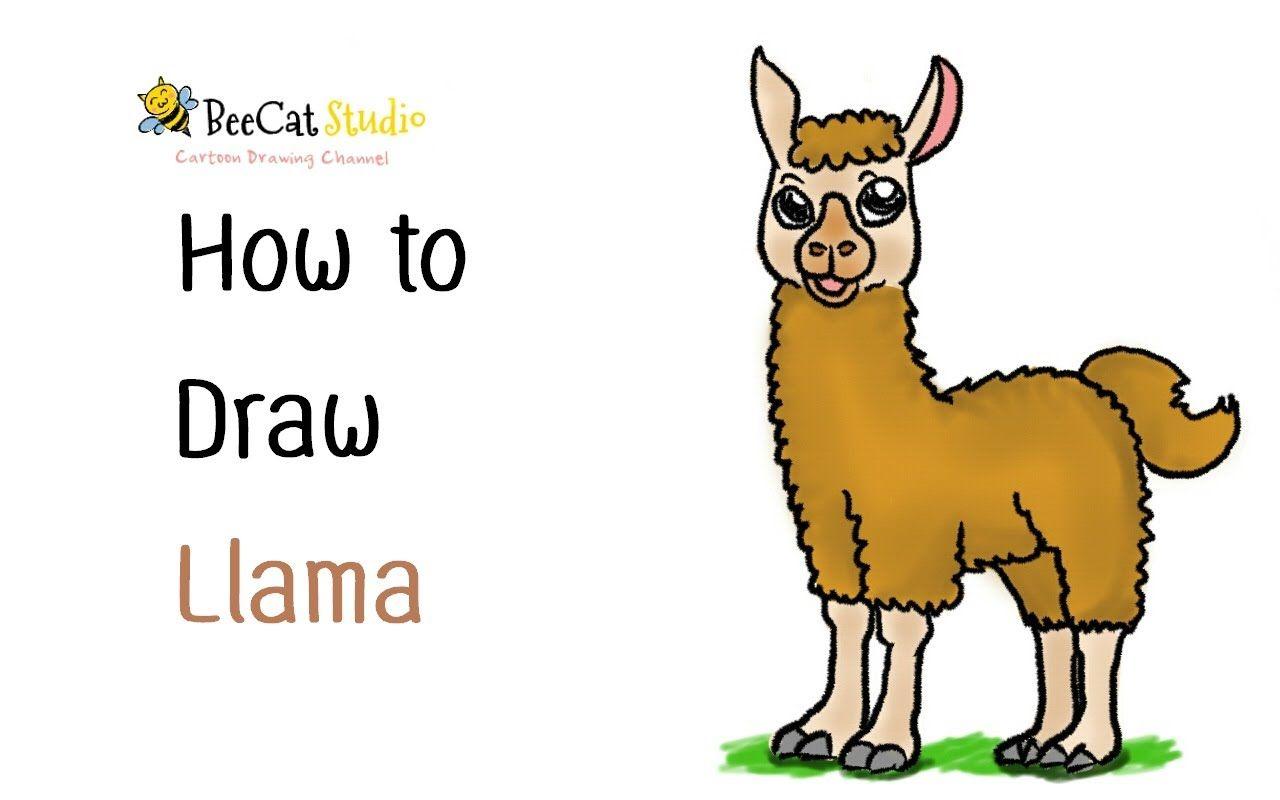 Cartoon Llamas Wallpapers - Top Free Cartoon Llamas Backgrounds