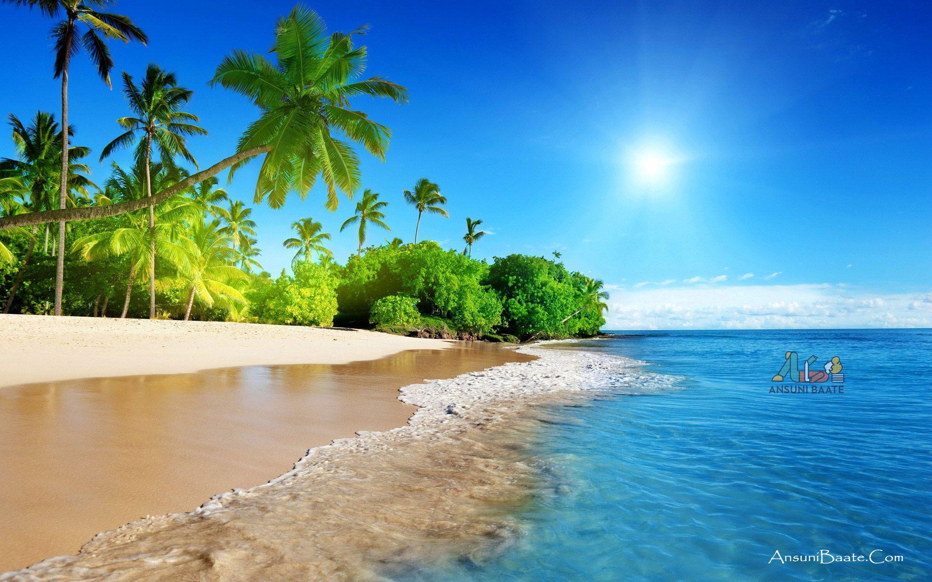 1920x1200 Nature Wallpaper Full HD Gallery Image Photo Free Download