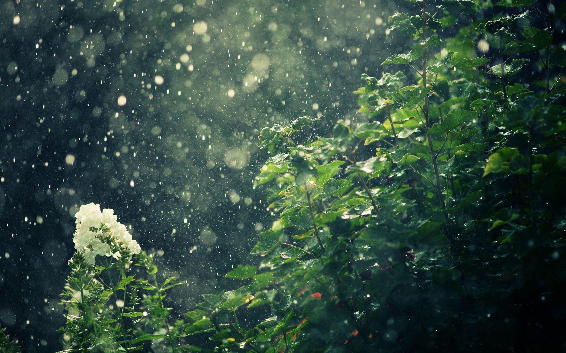 1920x1200 Desktop Background Image Rain