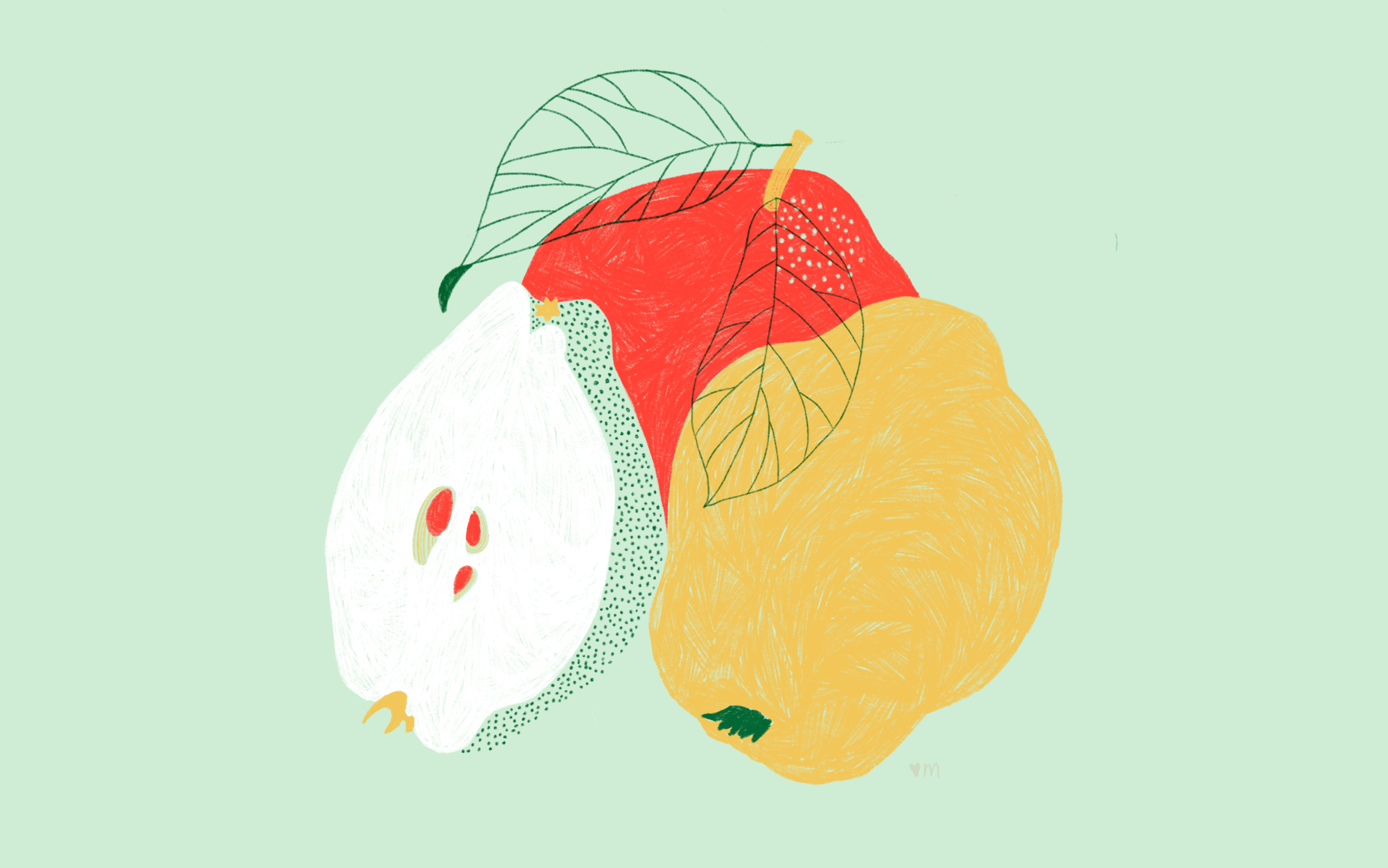 1856x1161 COLOR. Illustration
