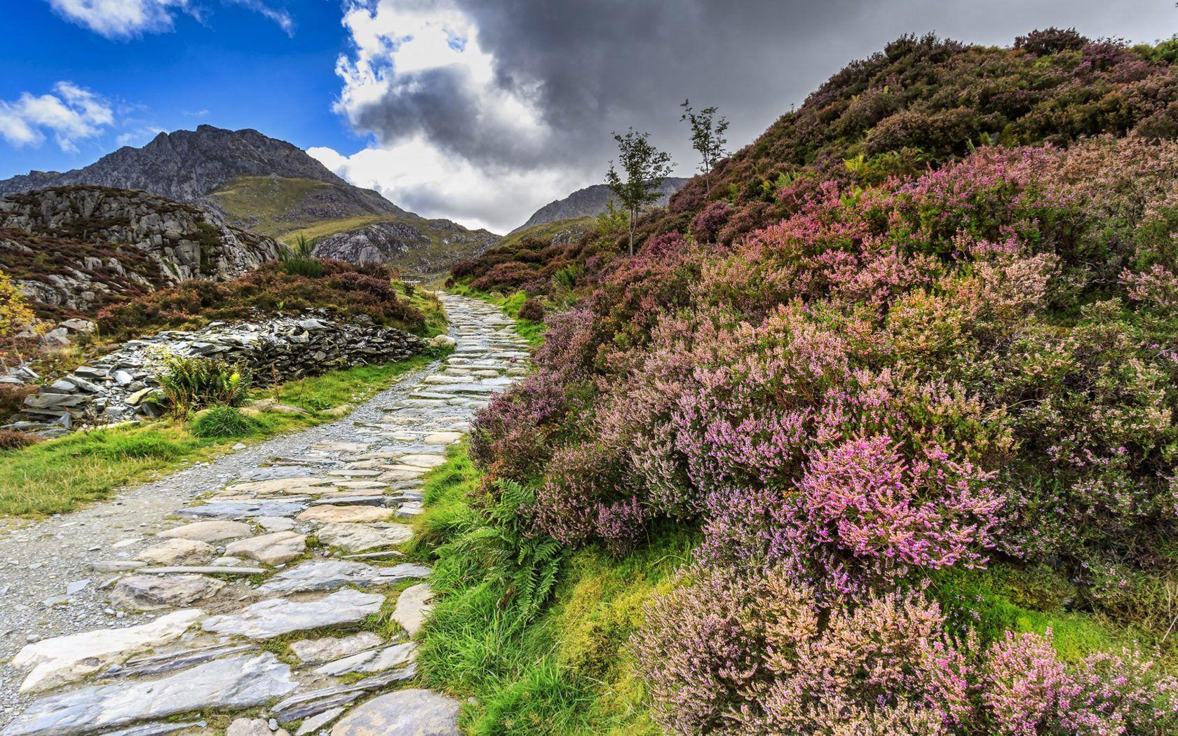 1680x1050 Snowdonia National Park Wales Conwy United Kingdom Heather