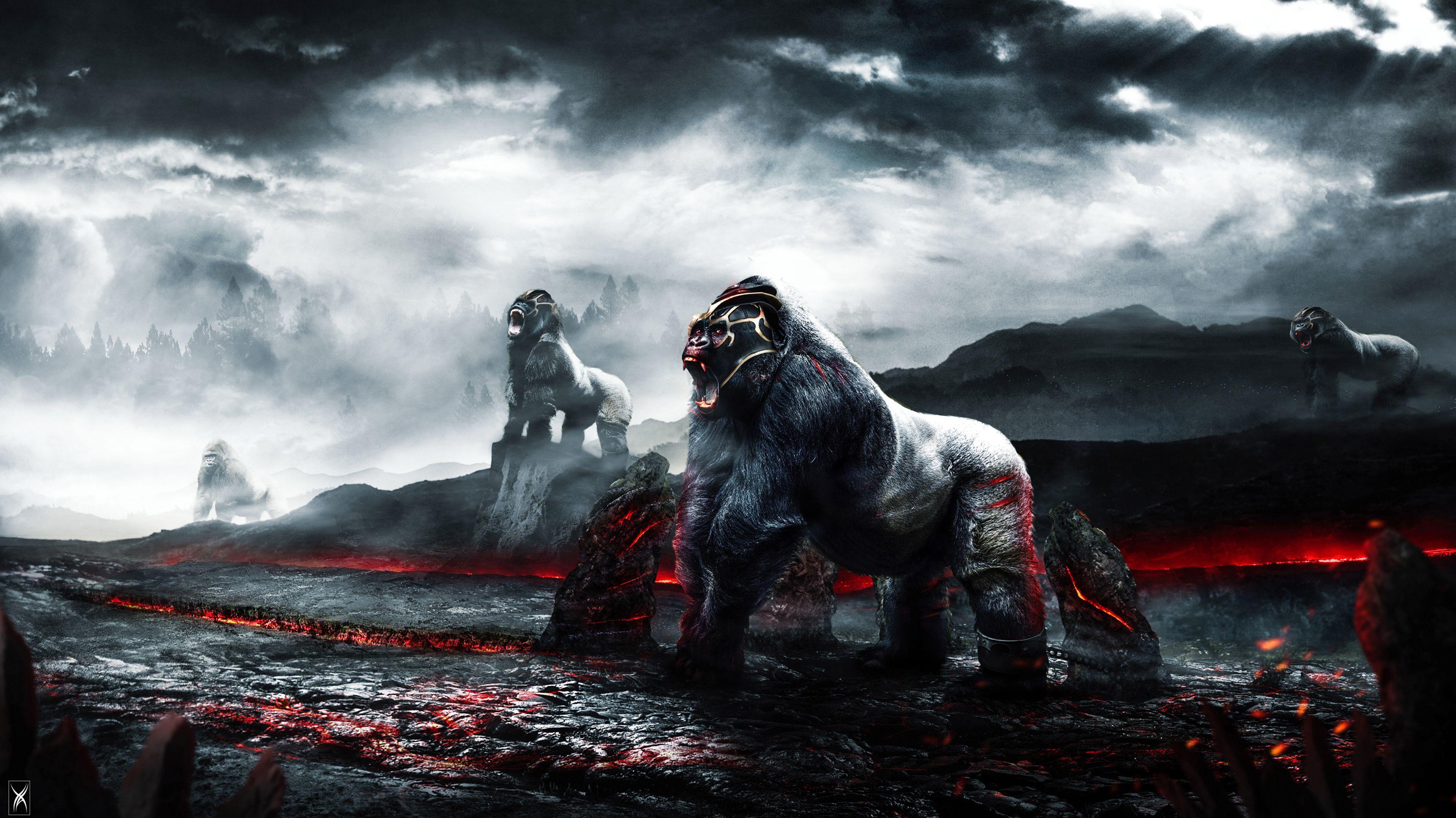 3840x2160 Gorilla Warriors 4K. Wallpaper. Wallpaper, HD wallpaper