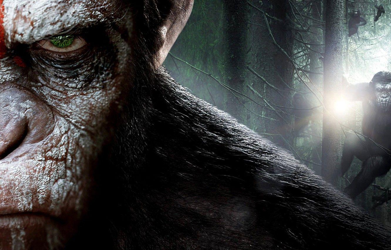 1332x850 Wallpaper cinema, monkey, forest, movie, animal, revolution